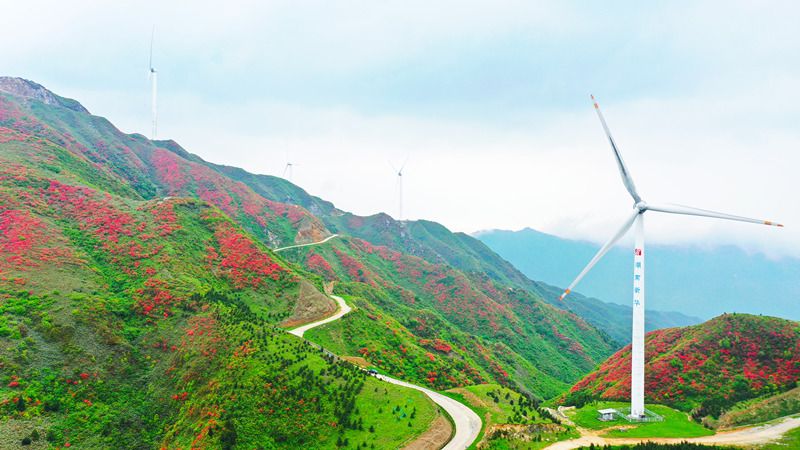 LOCAL202104271506000292970200301