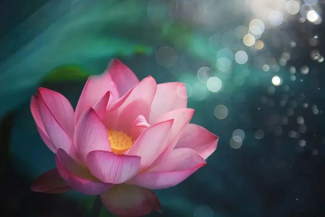 5d127e782c533acbd181b5a8953e80ba 5d127e782c533acbd181b5a8953e80ba.jpg