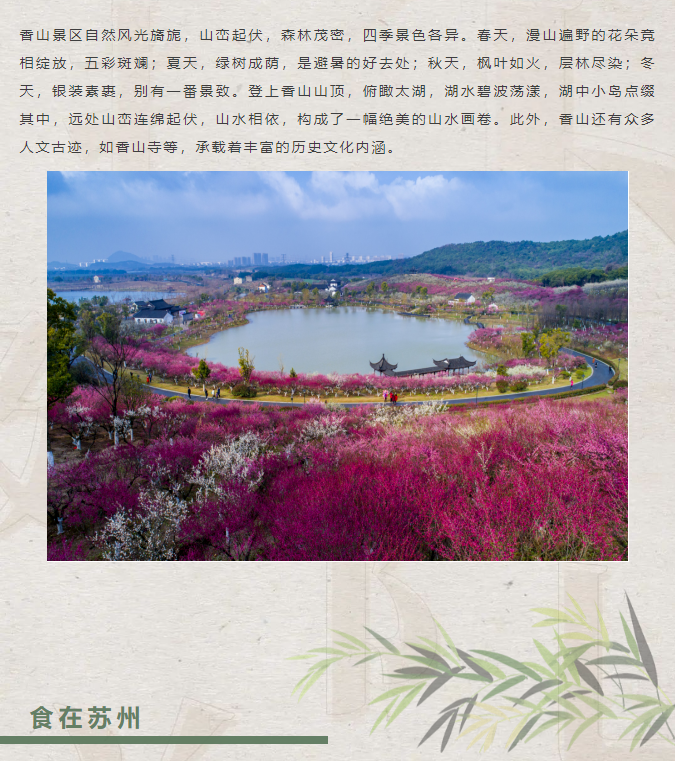 image.png?v=1751562034058