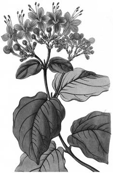 pagenumber_ebook=183,pagenumber_book=183