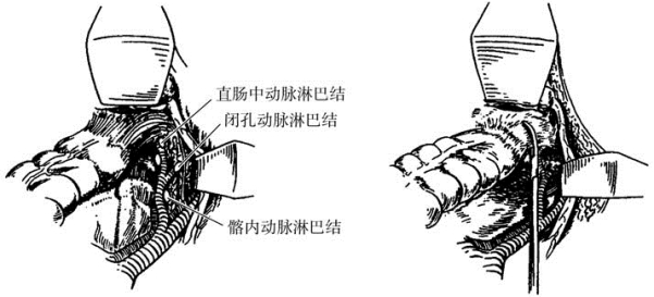 pagenumber_ebook=411,pagenumber_book=396