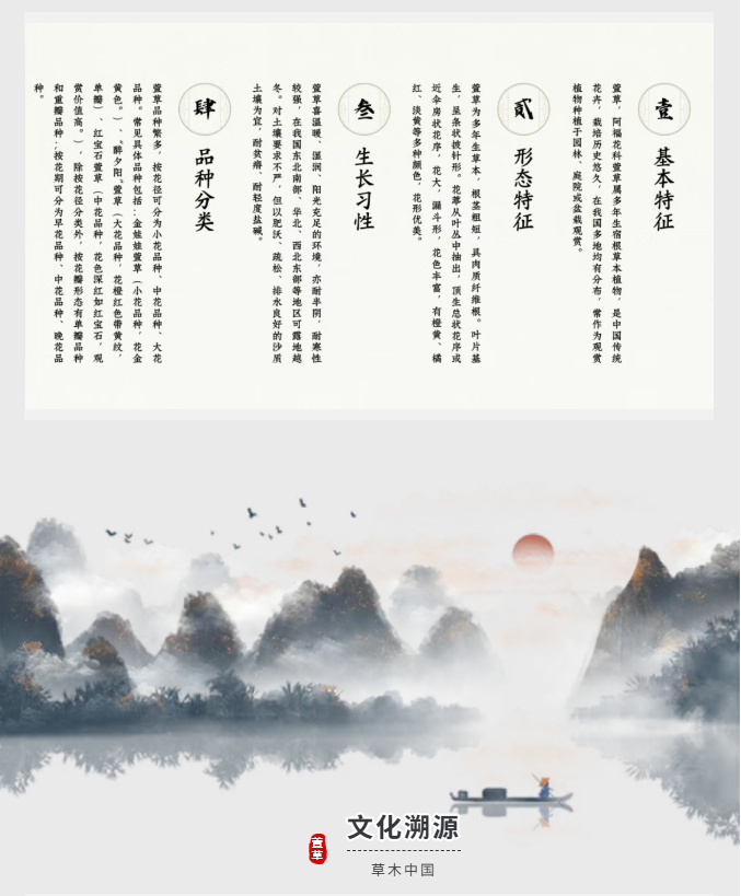 image.png?v=1766280841991