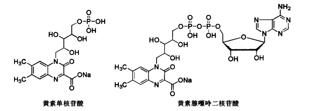 pagenumber_ebook=530,pagenumber_book=512