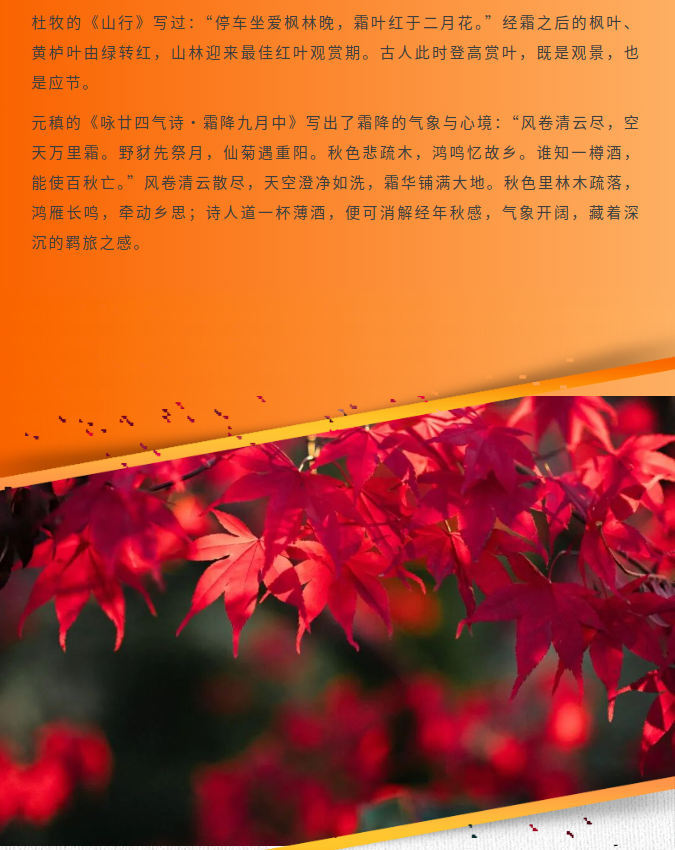 image.png?v=1792916092605