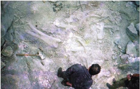 pagenumber_ebook=121,pagenumber_book=121