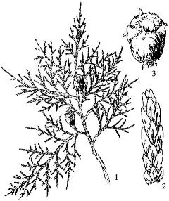 pagenumber_ebook=75,pagenumber_book=75