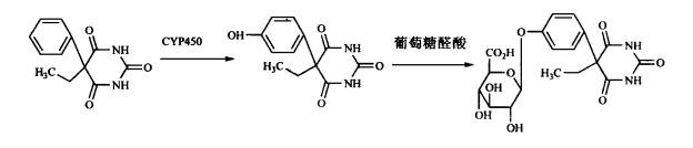 pagenumber_ebook=49,pagenumber_book=31