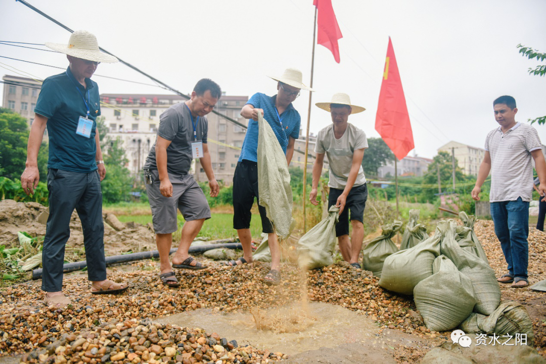 10 10.png?v=1765946446483