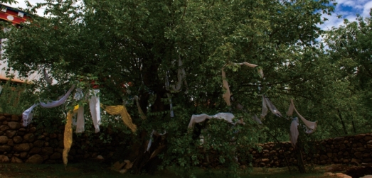 pagenumber_ebook=41,pagenumber_book=29