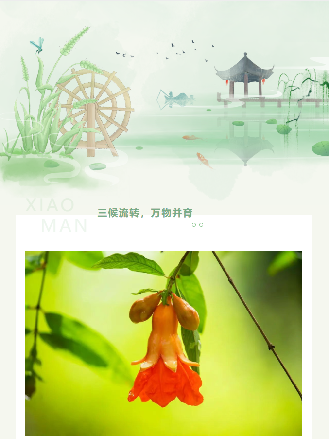image.png?v=1780832900752