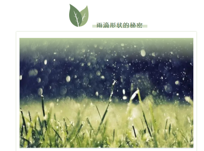 5 5.png?v=1763157472825