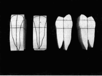 pagenumber_ebook=203,pagenumber_book=194