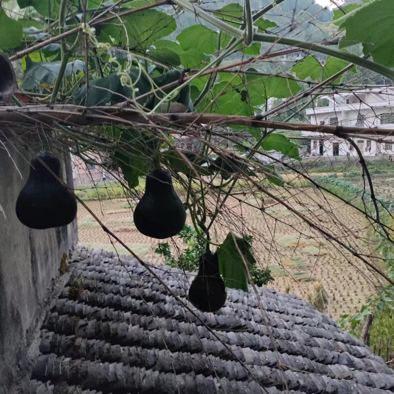 wps_doc_14 wps_doc_14.jpeg