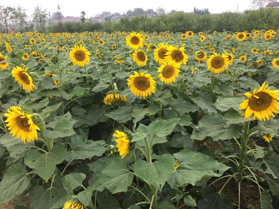 6 6.jpg?v=1765771807275