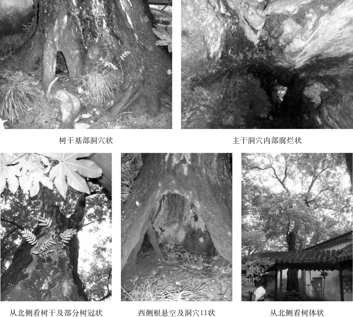 pagenumber_ebook=80,pagenumber_book=80