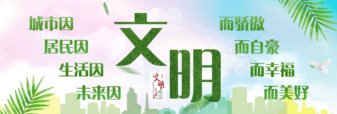 1 1.jpg?v=1765891293229