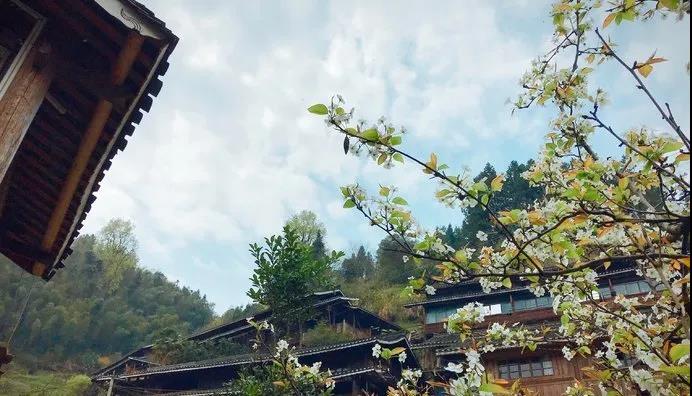 微信图片_20200509133212