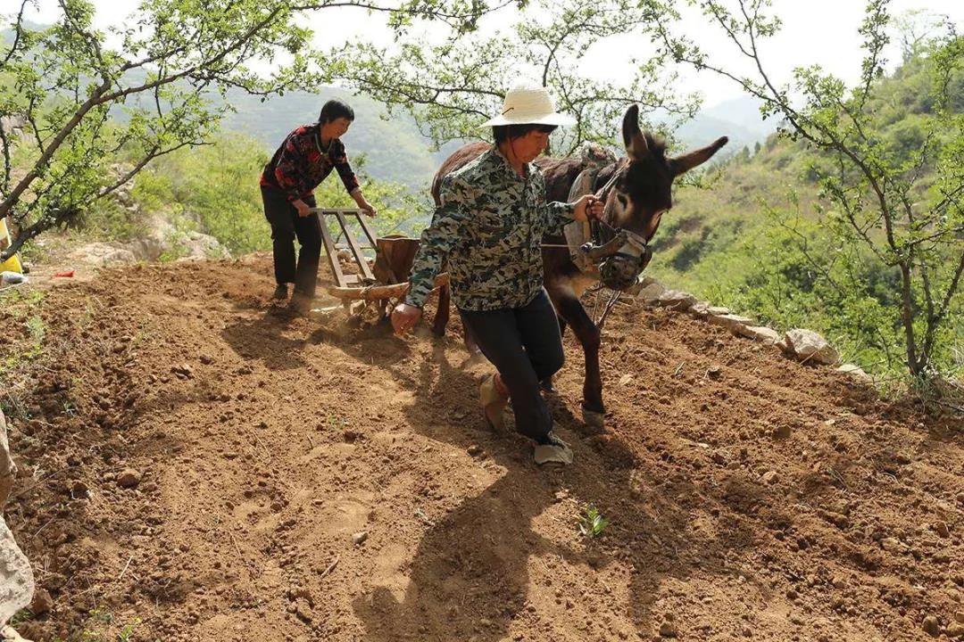 微信图片_20210525161200