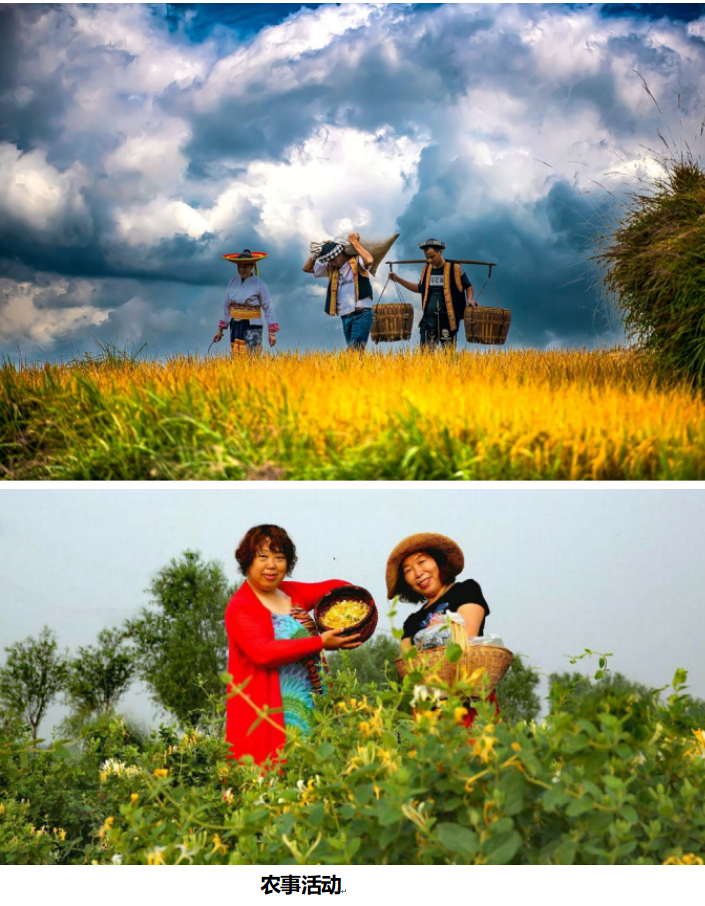 1732265025207 1732265025207.png