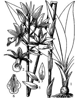 pagenumber_ebook=295,pagenumber_book=295