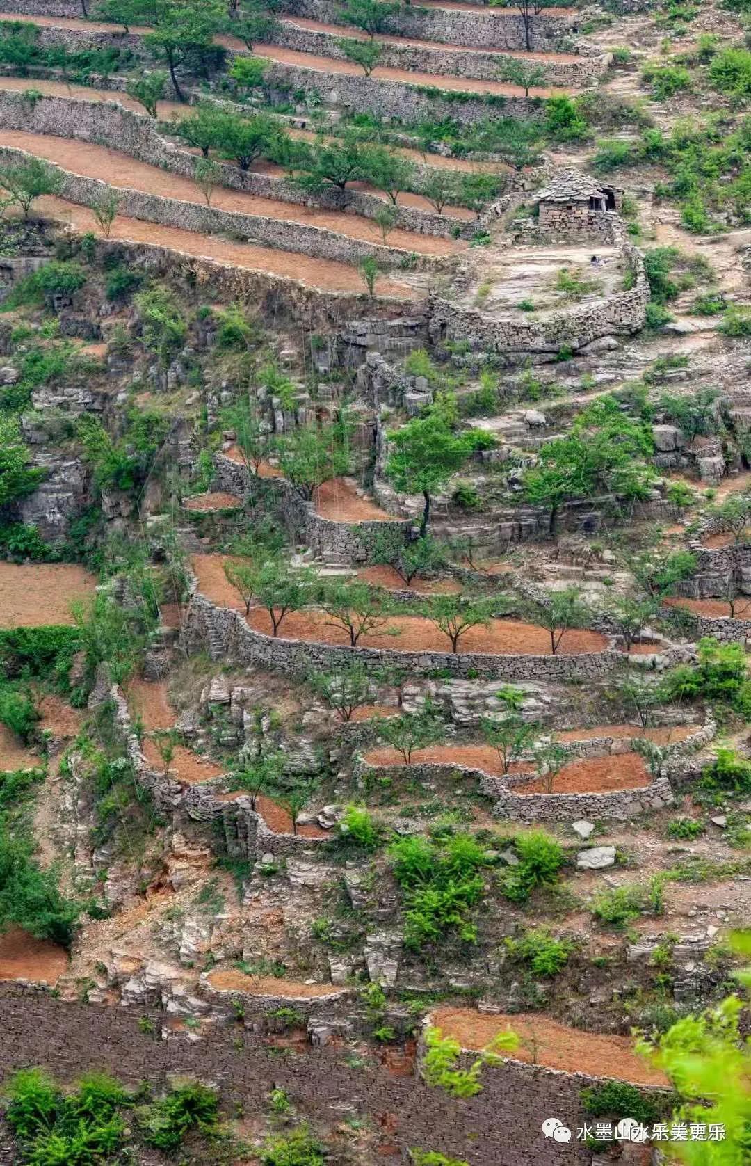 微信图片_20210612113458