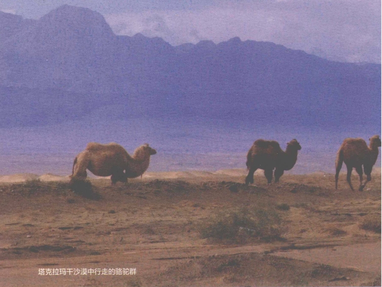 pagenumber_ebook=202,pagenumber_book=194