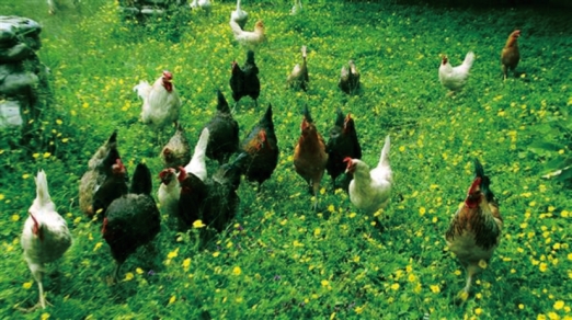 pagenumber_ebook=121,pagenumber_book=109