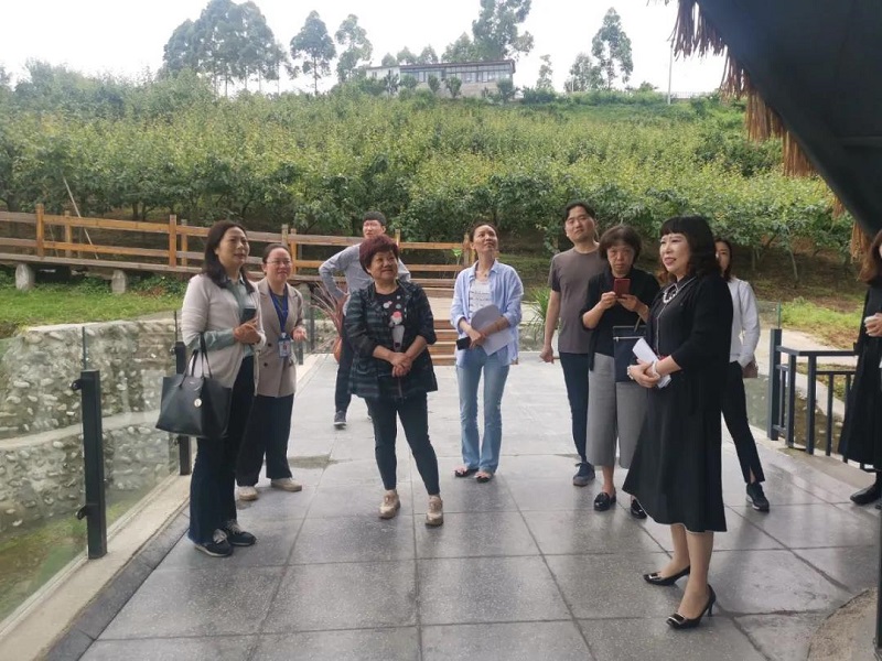 图片4 图片4.jpg?v=1765944368987