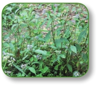 pagenumber_ebook=305,pagenumber_book=292