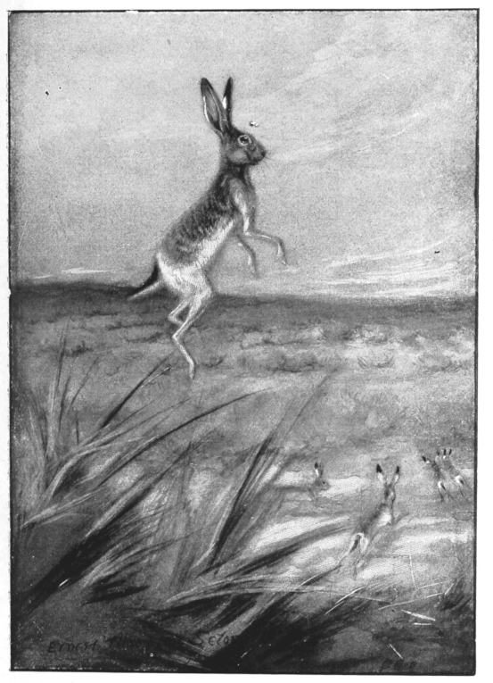 pagenumber_ebook=204,pagenumber_book=196