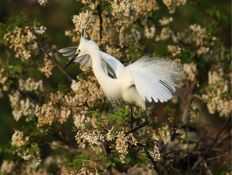微信图片_20210506095012