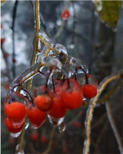 微信图片_20201205193714 微信图片_20201205193714.png