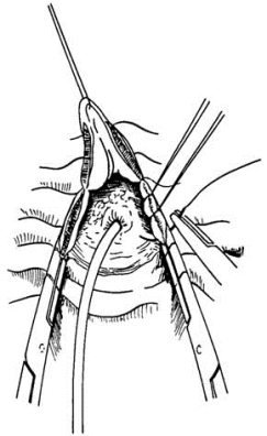 pagenumber_ebook=444,pagenumber_book=429
