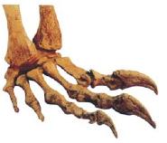 pagenumber_ebook=53,pagenumber_book=42