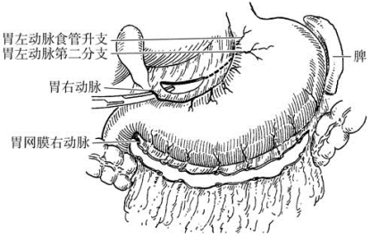 pagenumber_ebook=325,pagenumber_book=310