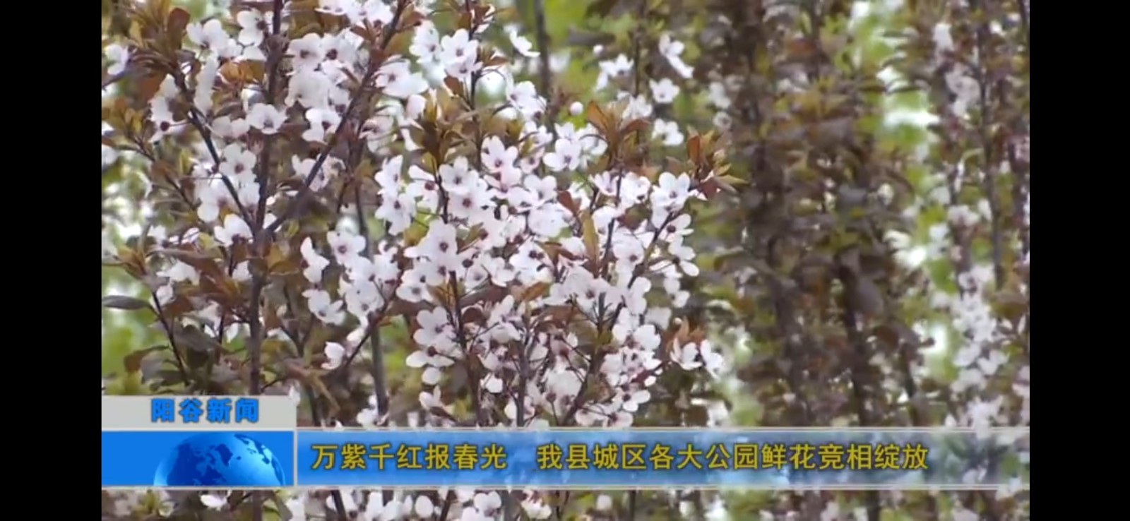 微信图片_202104070923003