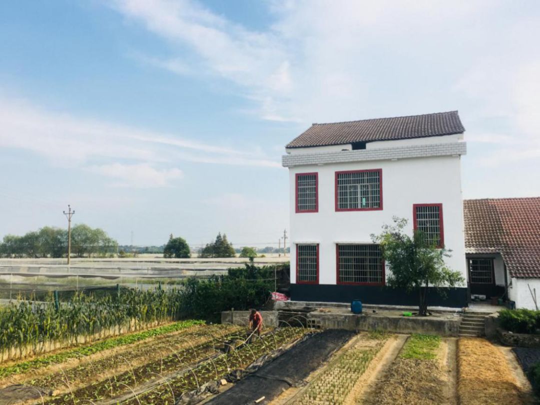 1 1.jpg?v=1765771807275