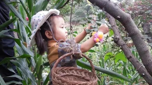 微信图片_20210525161216 微信图片_20210525161216.jpg