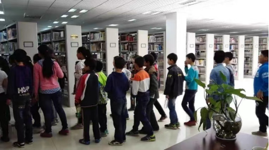 图片 图片.png?v=1762219162323