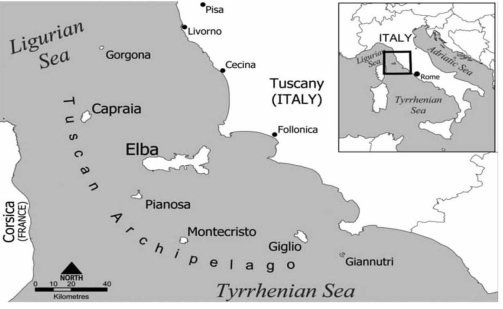 pagenumber_ebook=505,pagenumber_book=505