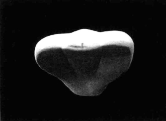 pagenumber_ebook=196,pagenumber_book=187