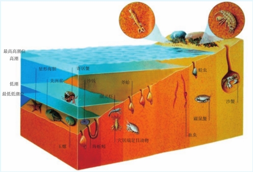 pagenumber_ebook=242,pagenumber_book=224