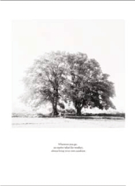 pagenumber_ebook=168,pagenumber_book=160