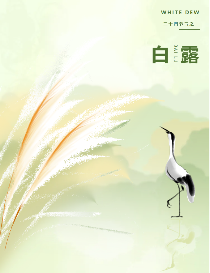 image.png?v=1757819382200