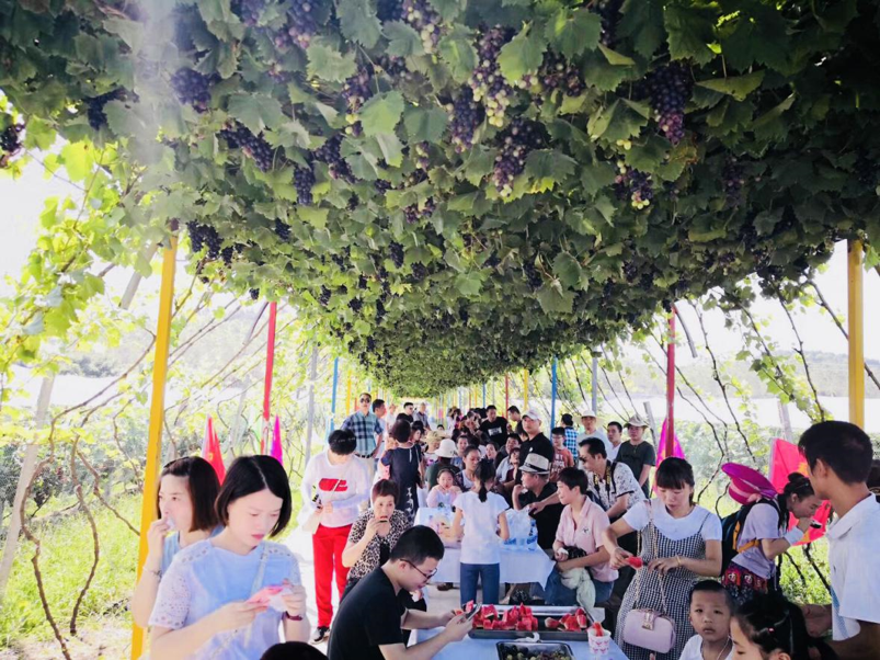 图片10 图片10.png