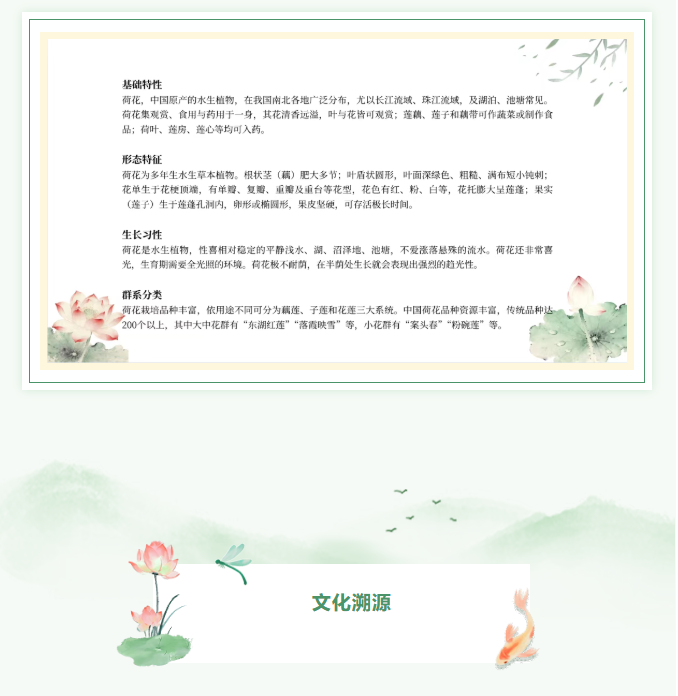 image.png?v=1766278434585