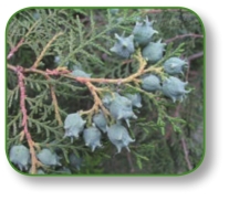 pagenumber_ebook=164,pagenumber_book=151