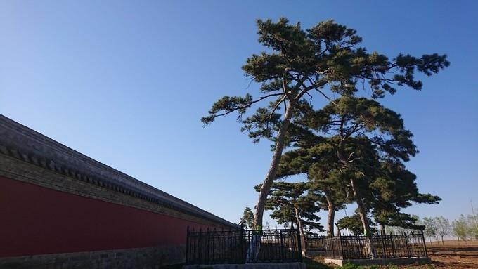 那儿苏陵 那儿苏陵.jpg