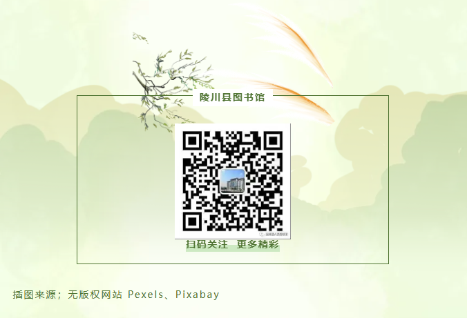 image.png?v=1757819382200