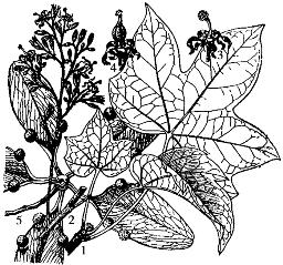 pagenumber_ebook=93,pagenumber_book=93